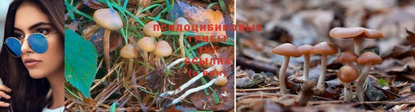 экстази Баксан