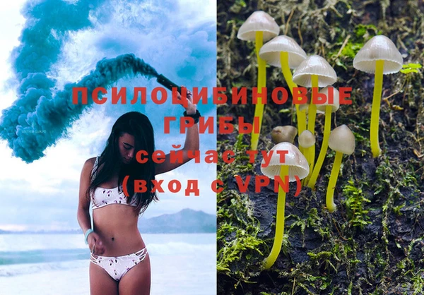 экстази Баксан
